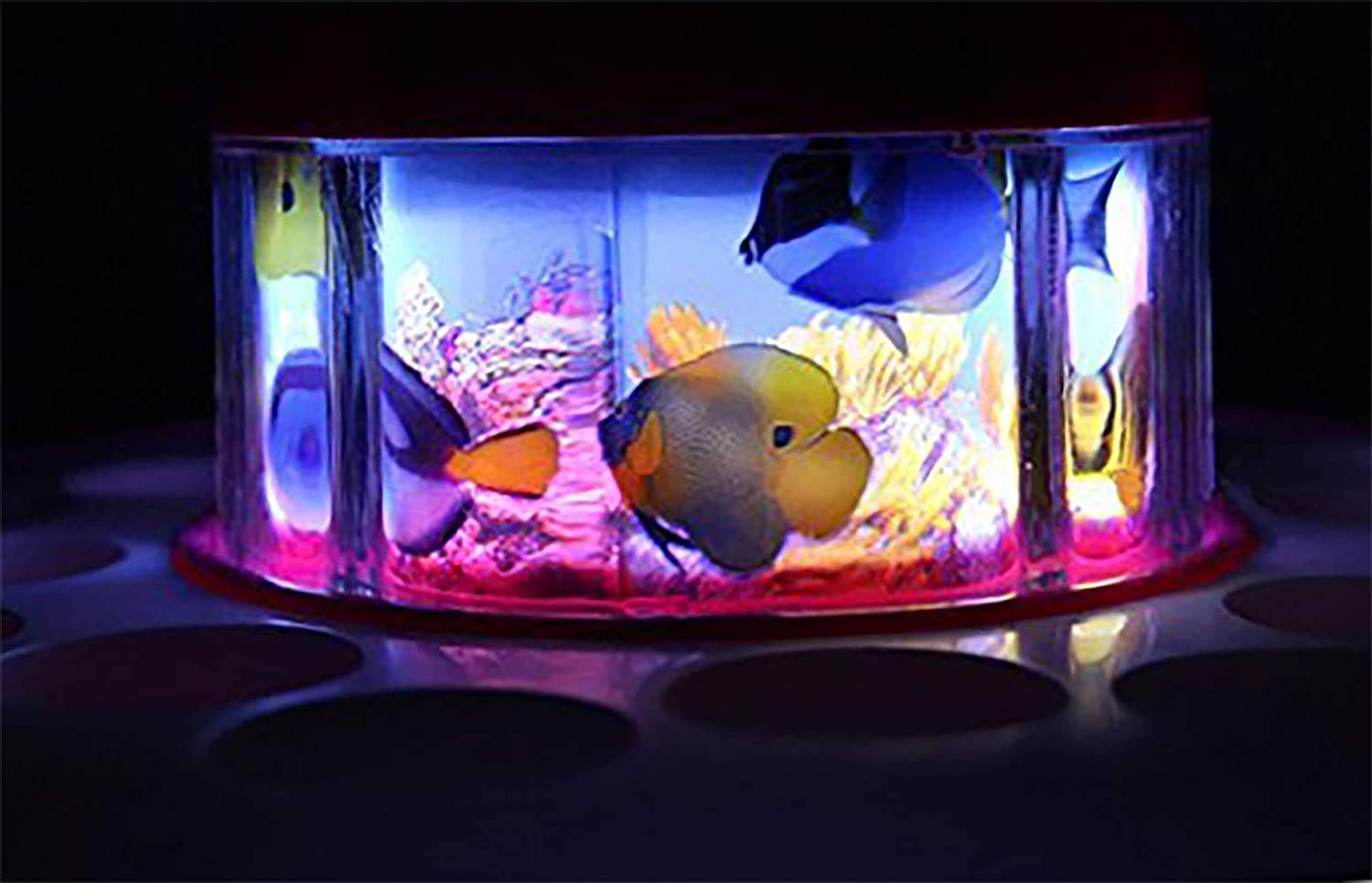 Doozie Gifts Fish Catching Game Big with 26 Fishes and 4 Pods, Includes Music and Lights (Multicolor)